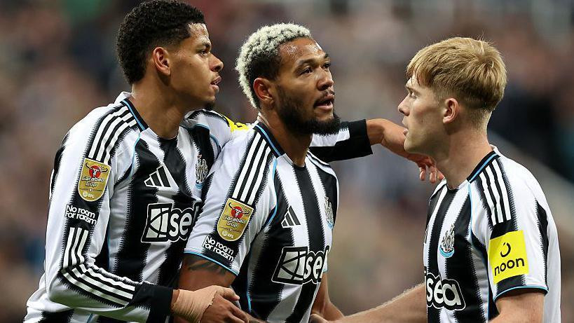 英超：布莱顿VS纽卡斯尔联预测分析 布莱顿能否顶住纽卡的攻势