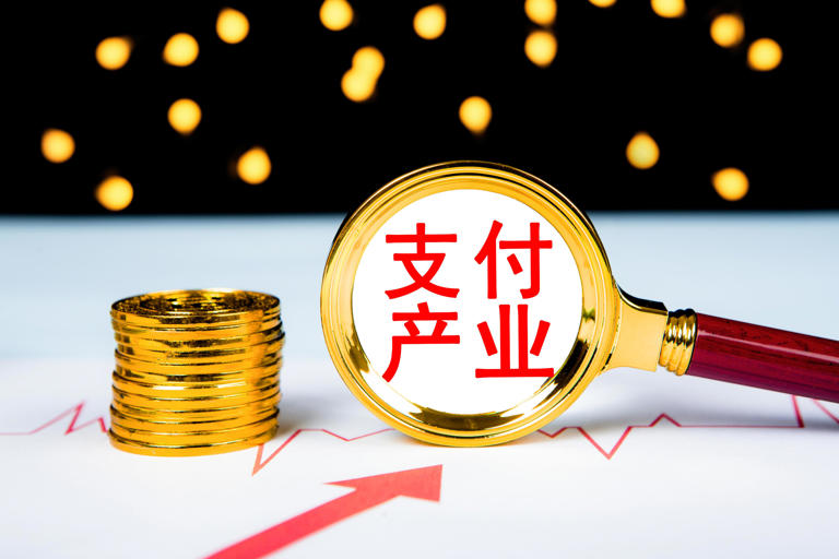  支付行业深度洗牌：年内11张牌照注销，资本竞逐新赛道 