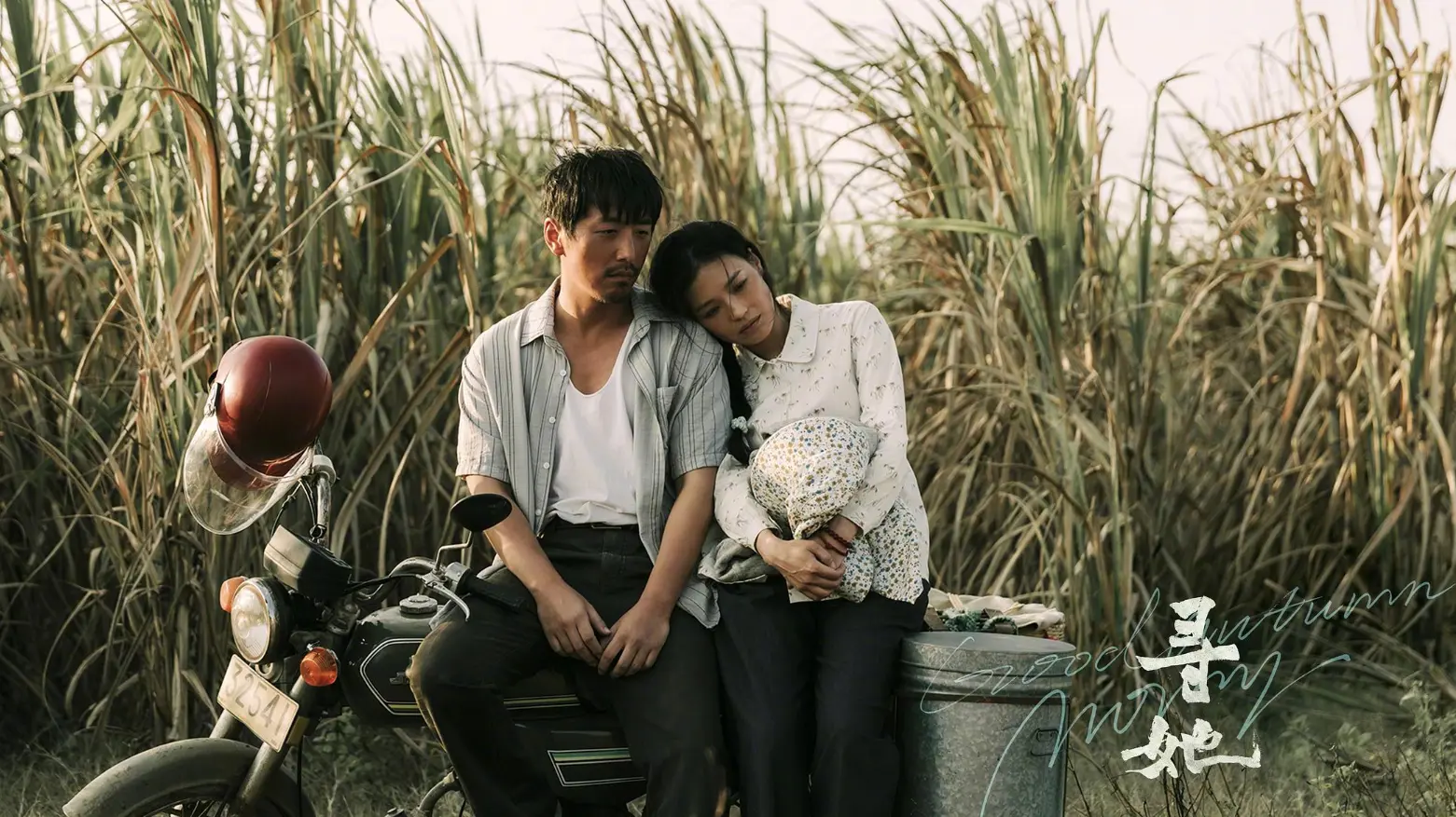 票房从13.65亿跌到1730万，我五味杂陈：这块金字招牌算是砸了