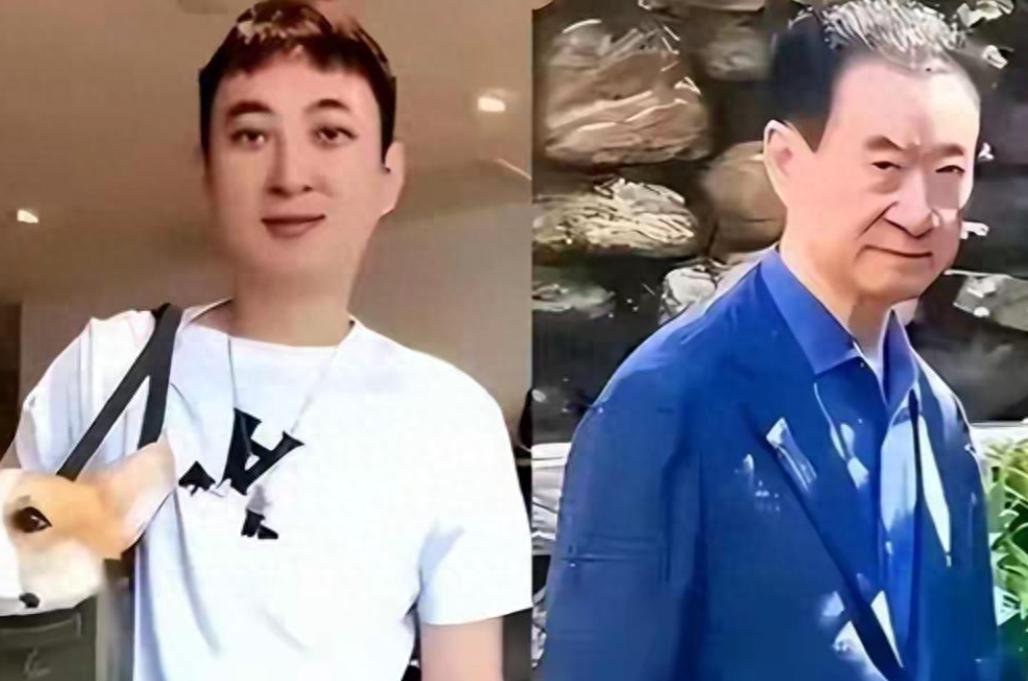 一年蒸发八百多亿！71岁的王健林，惨遭亲儿子王思聪的“反噬”