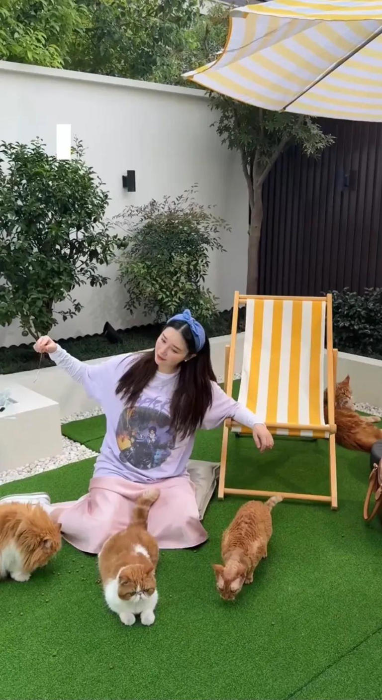 阚清子晒婚后豪宅，家里有电梯，爱马仕盒子摆一墙，给猫用LV手袋