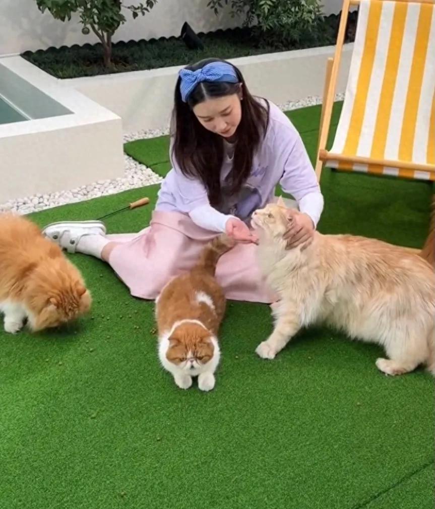 阚清子嫁给富豪后过着锦衣玉食的生活，她在豪宅里养了五只猫，家里有电梯，阁楼上摆了一墙的爱马仕盒子。阚清子背着红色爱马仕包出门喝咖啡，给猫咪用LV的手袋，这日子过的也太富贵了。   阚清子坐在自家院子里和小猫咪玩耍，她身穿粉红缎面裙搭配紫