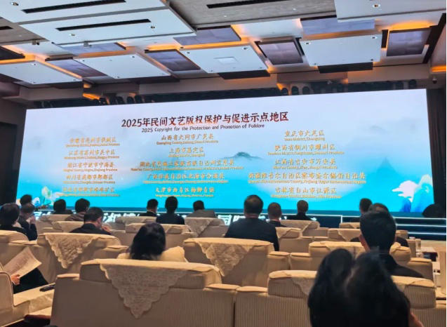 国际版权论坛会议现场。