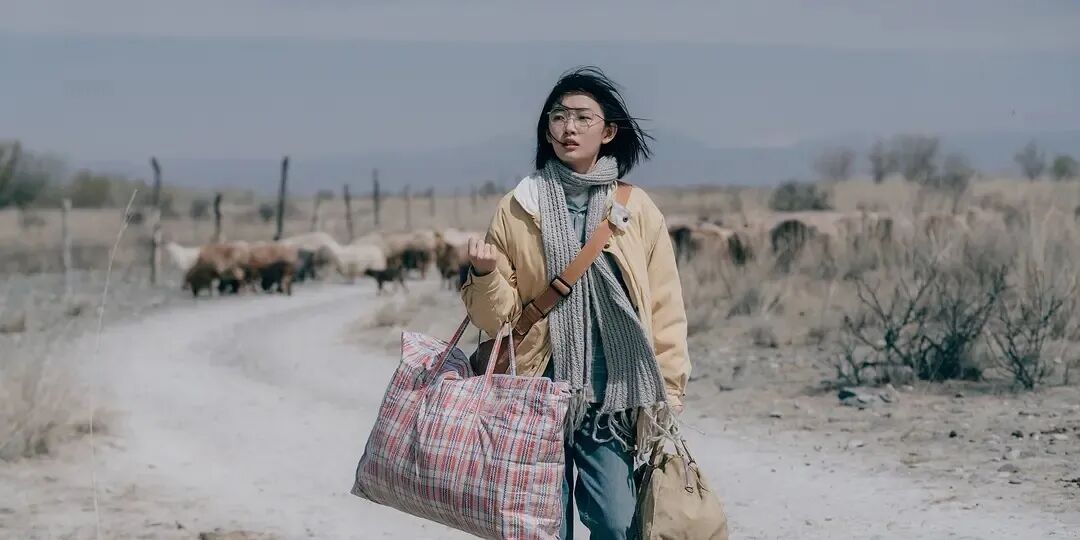 “清醒到极致的文案，句句治愈”