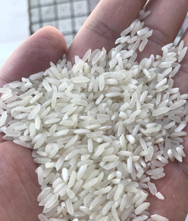 大量人造米流入市场，成本只要几毛钱？提醒：6种大米，真要少吃