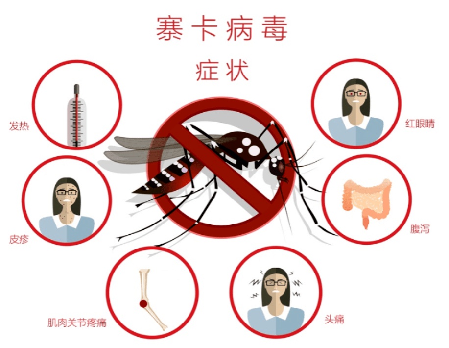 关于寨卡病毒，你了解多少？