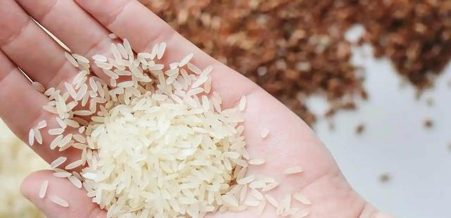 大量人造米流入市场，成本只要几毛钱？提醒：6种大米，真要少吃