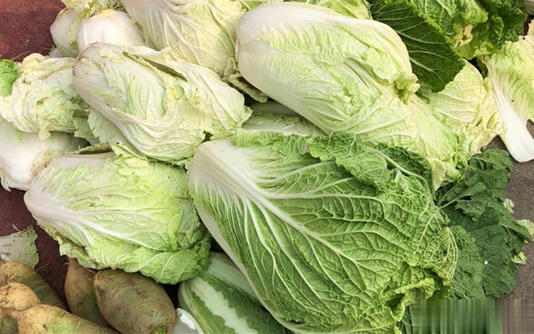 终于懂了！绿叶白菜和黄叶白菜区别大，别再买错
