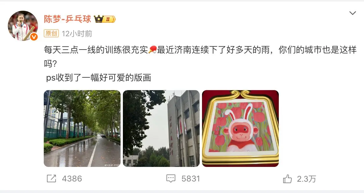 31岁陈梦即将复出：三点一线备战全运 成黄晓明公司艺人但未退役