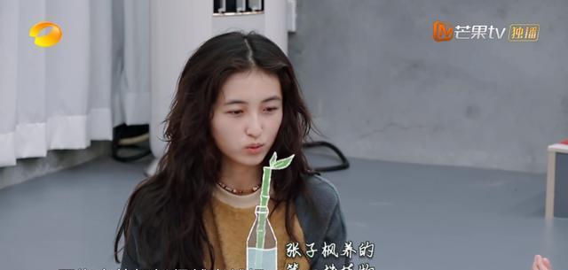 杨超越和齐溪来了！《向往的生活8》越来越好看，3个原因是关键