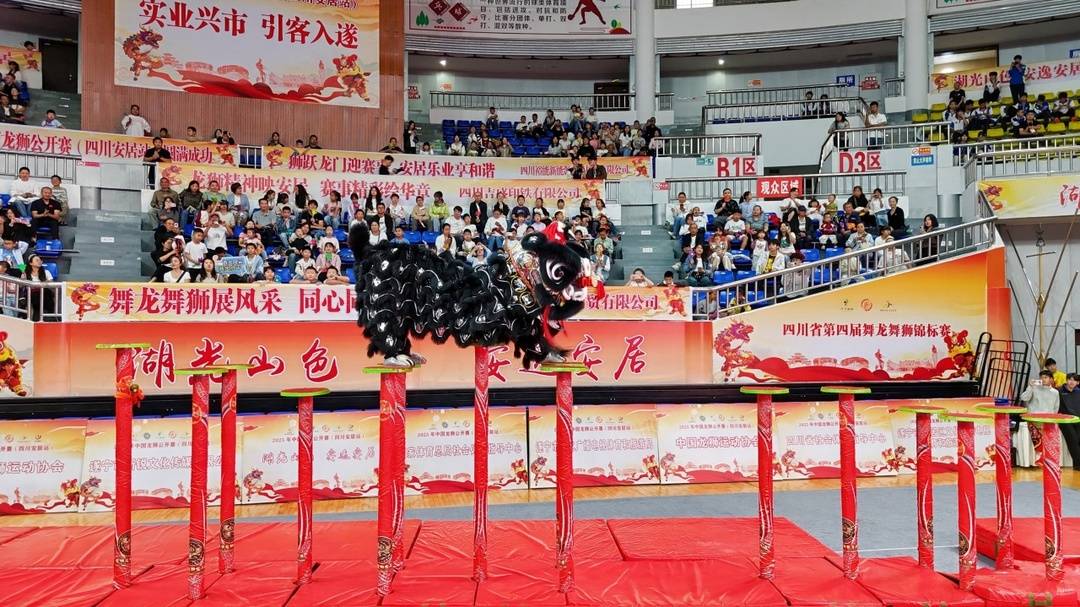 2025年中国龙狮公开赛（四川安居站）激情开赛