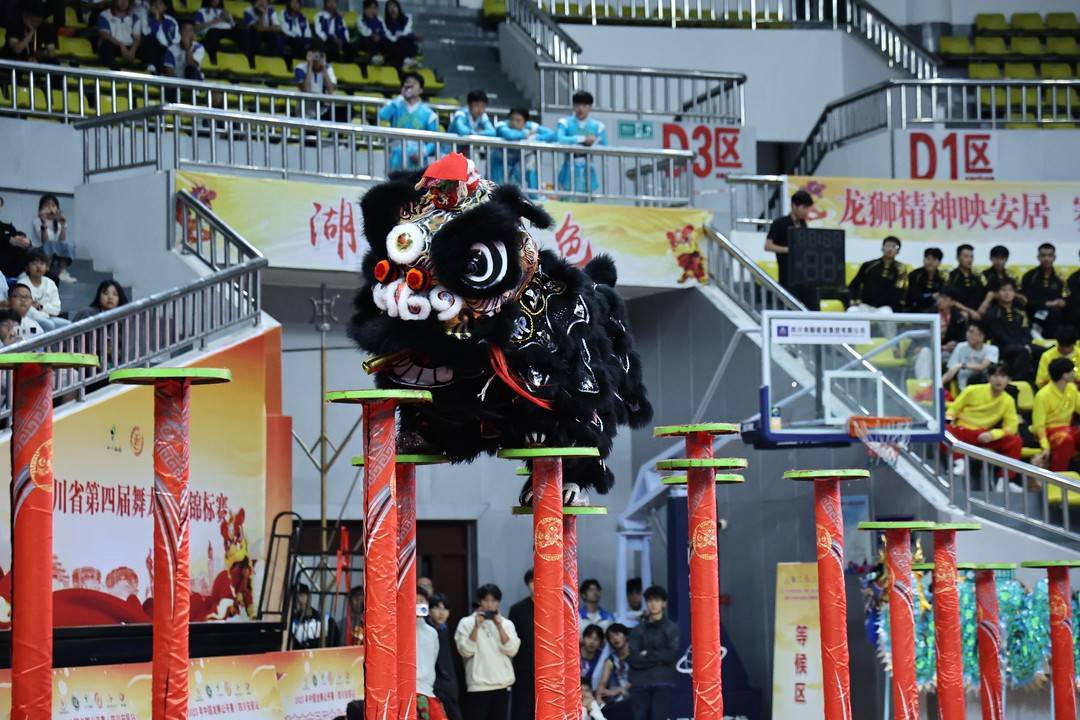 2025年中国龙狮公开赛（四川安居站）激情开赛
