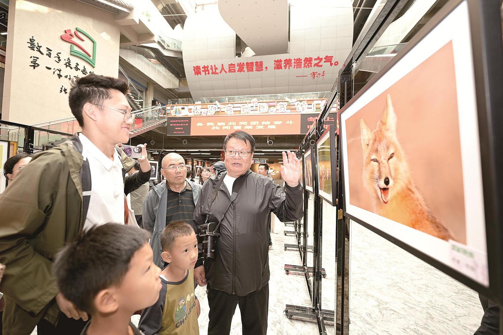 ������̬����������Ӱչ��չ