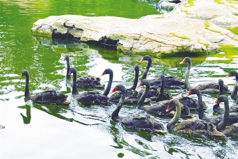 实力担当 十大热门景区构筑首府国庆假期文旅黄金矩阵