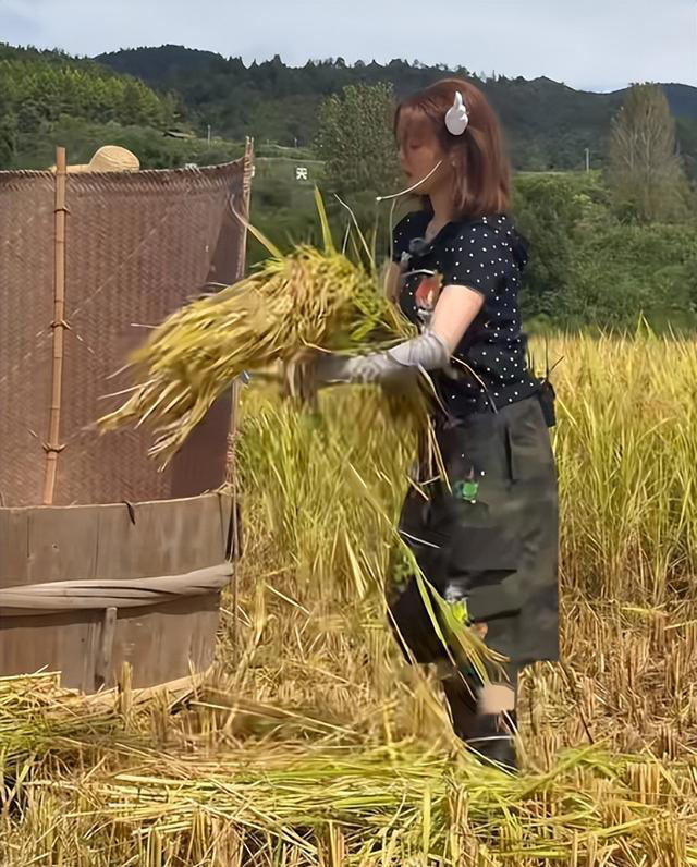 虽然杨超越学历不高，但她的情商、感知、领悟能力超越了许多人！