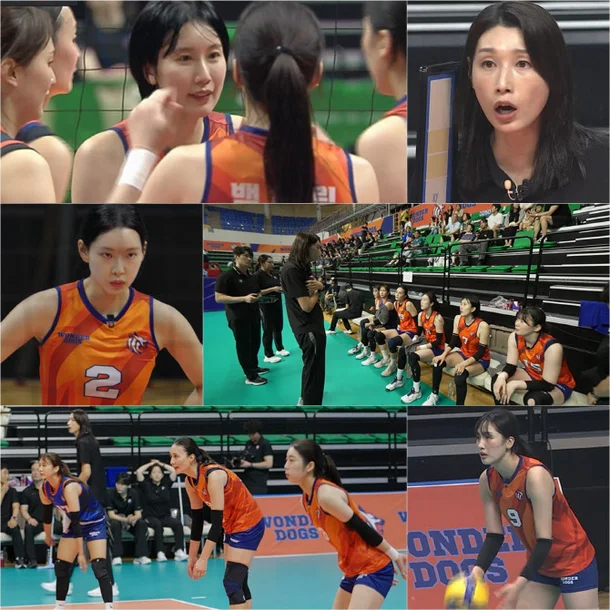 1-3！韩国女排金软景执教首败 球队或将面临解散 节目收视率创新高