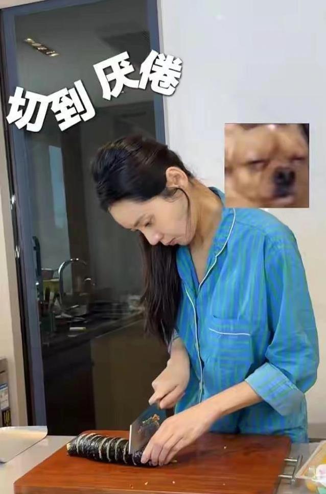 46岁秋瓷炫厨房忙便当，网球场秀身材，于晓光甜蜜护妻却摔跤