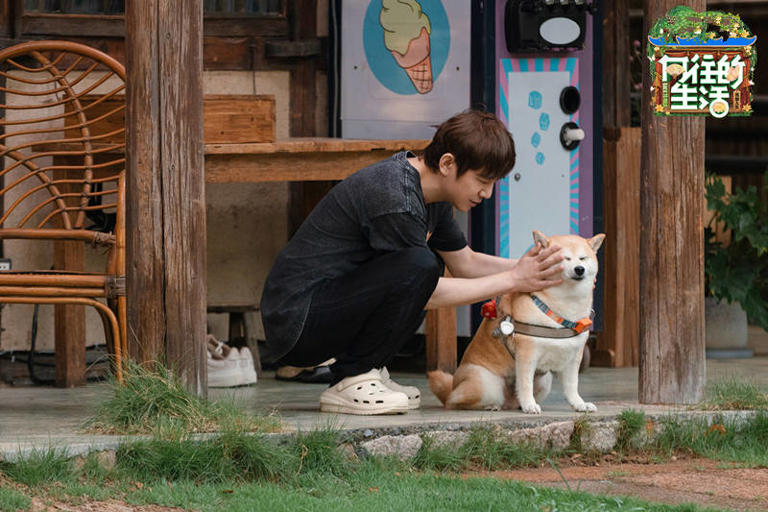 《向往的生活8》垮掉，留下启示，综艺是用来看的，不是用来膜拜的