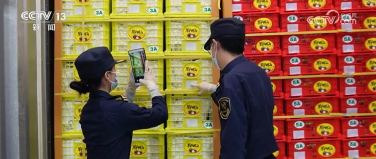 前三季度多领域“成绩单”出炉 “数”览亮点感知经济发展支撑稳、引擎足