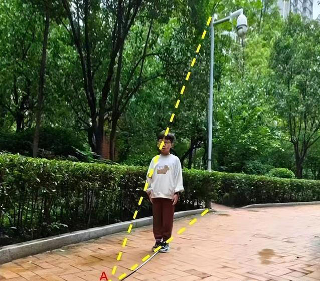 三年级小朋友量树高，步子影子全用上，数学咋这么好玩？