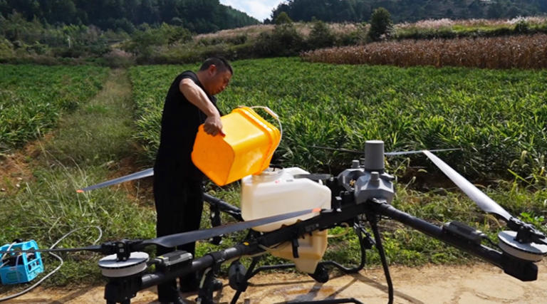 西秀区杨武乡科技赋能小黄姜产业增产增收。