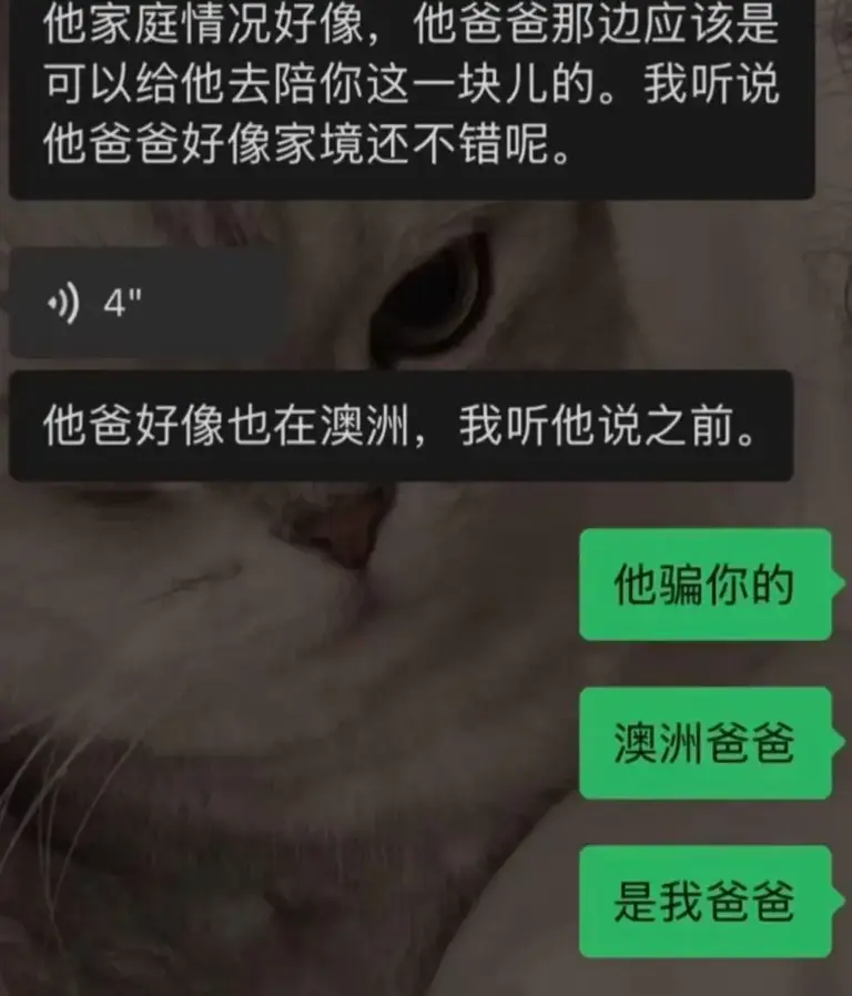 热搜上炸裂的“小鱼丸子”事件：“假富家千金”翻车，坑惨多少人