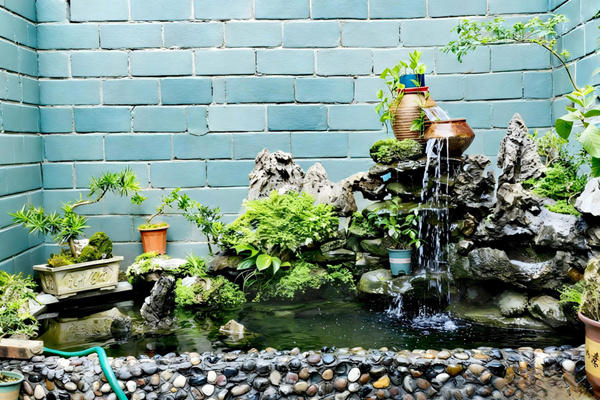 莫金秀的小鱼池。黄敏华摄