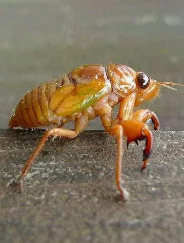 夏储冬用、秋储夏用，反季节奇效饵料助你野钓出奇制胜