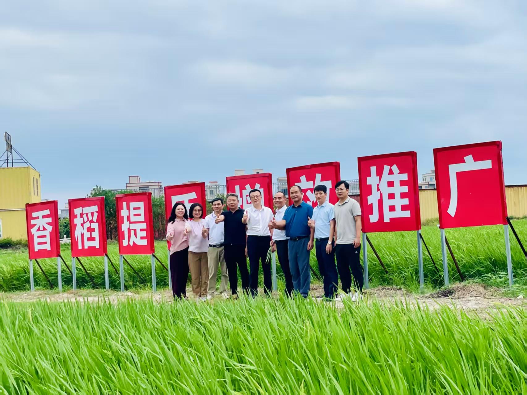 良田用上“良法”！汕头市潮南区陇田镇农户喜获增收“金钥匙”