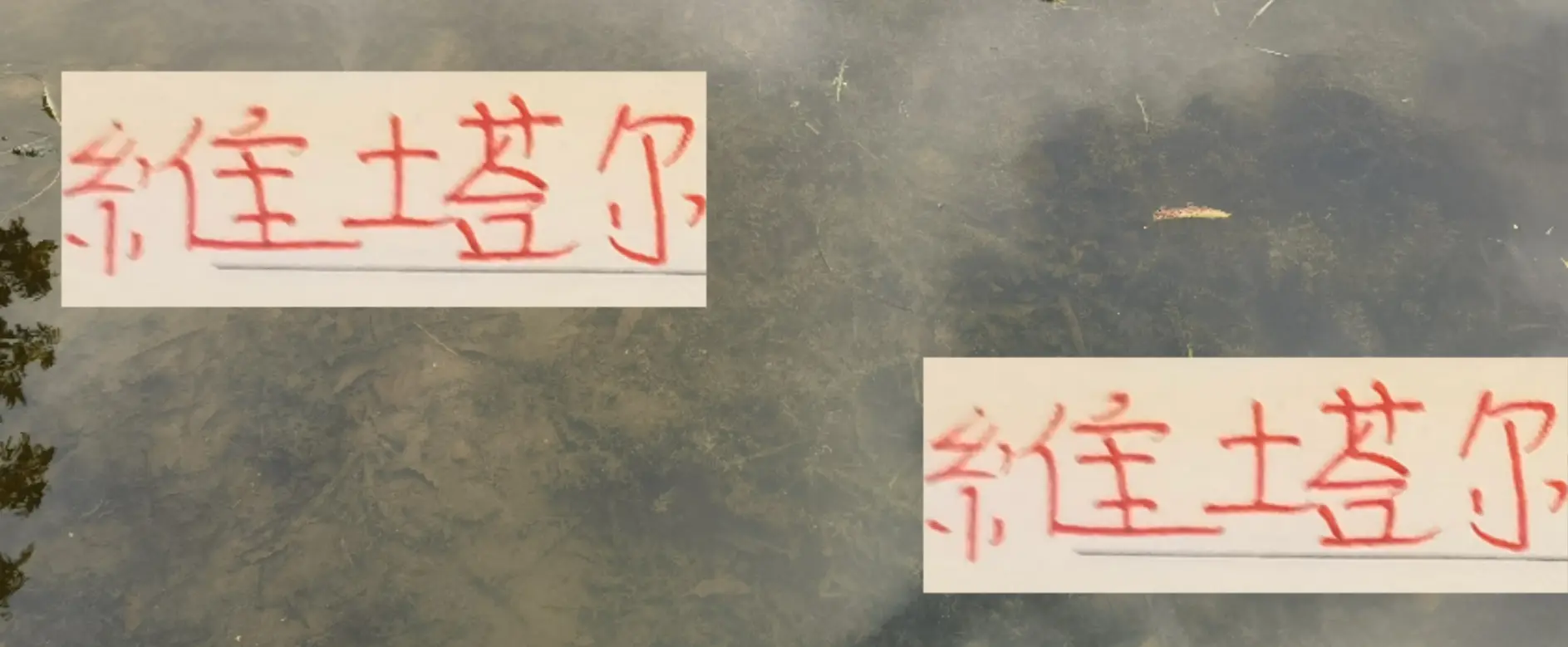 海港奥斯卡后继有人 维塔尔已是中超助攻榜二 就差河南纳萨一个球