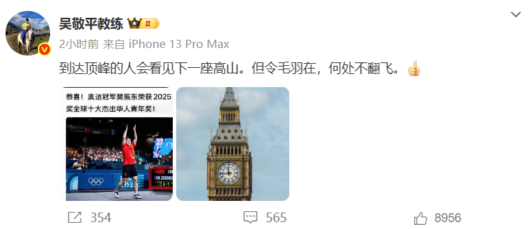 樊振东获2025年度大本钟奖全球十大杰出华人青年奖，获奖者还有舒淇等