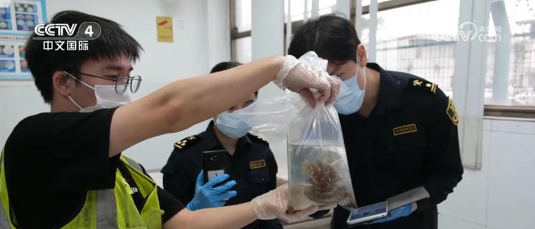 广交会万商云集“人气足” 客旺货畅带动经济“热力值”持续攀升