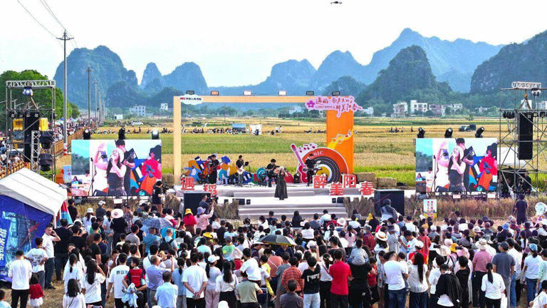 【图集】数万人在阳春马兰共赴丰收之约 金色稻浪里奏响田园乐章