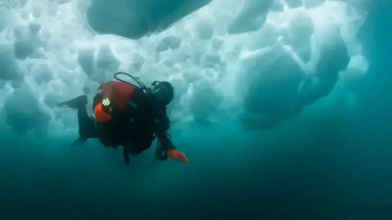 白令海峡下藏着一条“失落的大陆”？科学家：可能有人类遗迹