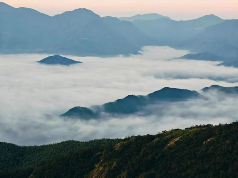凌晨3点，杭州一地全是人！有人半夜从上海、江苏赶来！有老板被迫4点营业