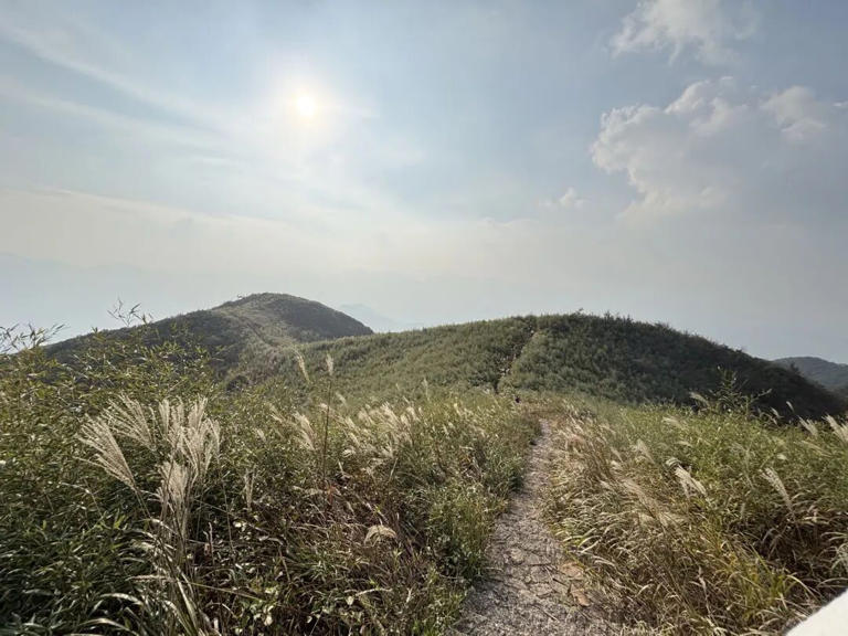 凌晨3点，杭州一地全是人！有人半夜从上海、江苏赶来！有老板被迫4点营业