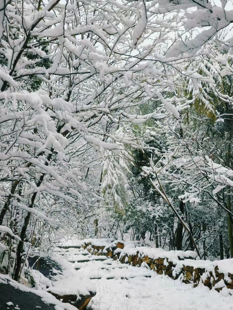 凌晨3点，杭州一地全是人！有人半夜从上海、江苏赶来！有老板被迫4点营业