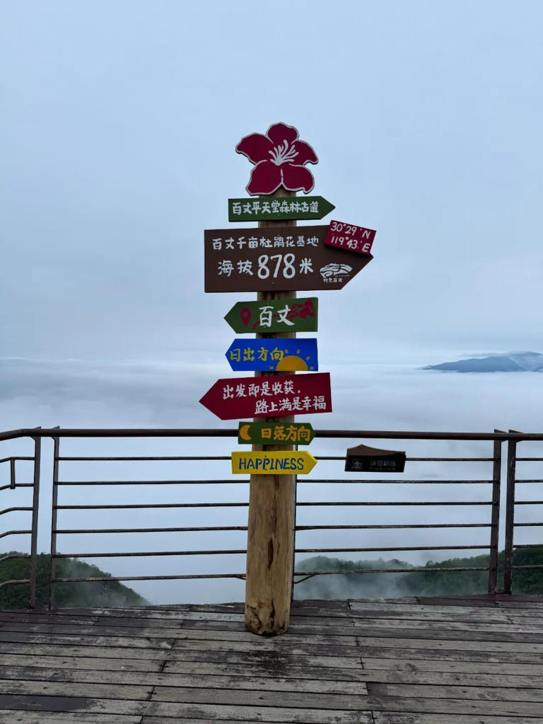 凌晨3点，杭州一地全是人！有人半夜从上海、江苏赶来！有老板被迫4点营业