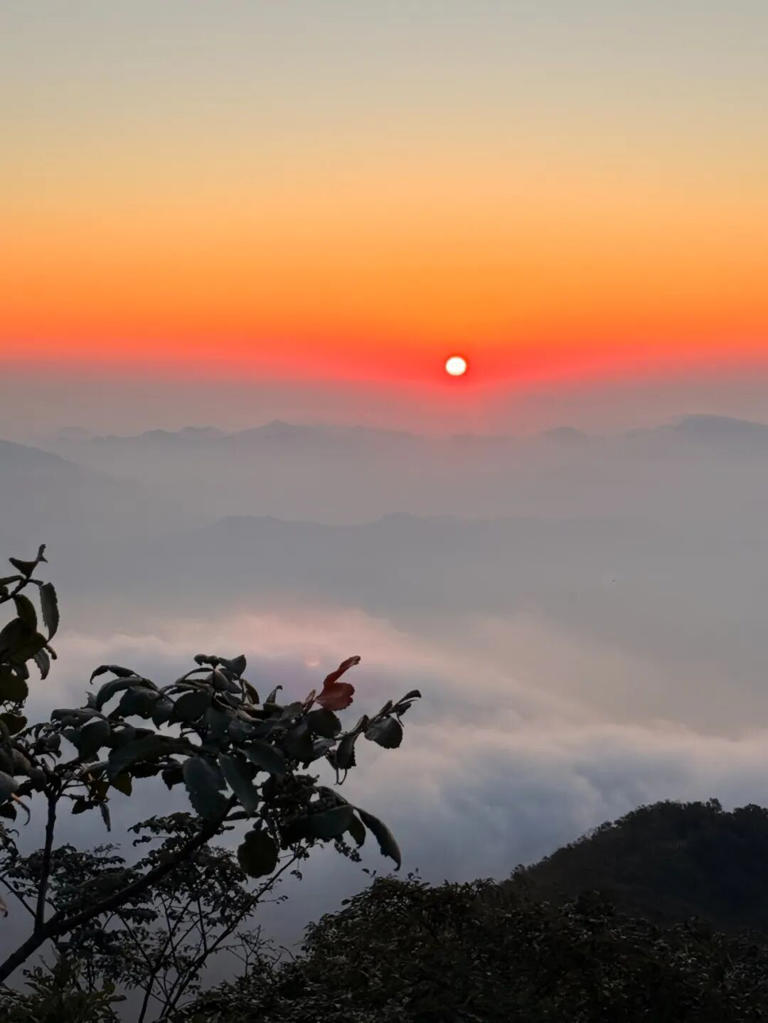 凌晨3点，杭州一地全是人！有人半夜从上海、江苏赶来！有老板被迫4点营业