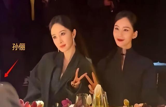 直到央视公开“点名”孙俪，我才明白，原来张艺谋一个字都没说错