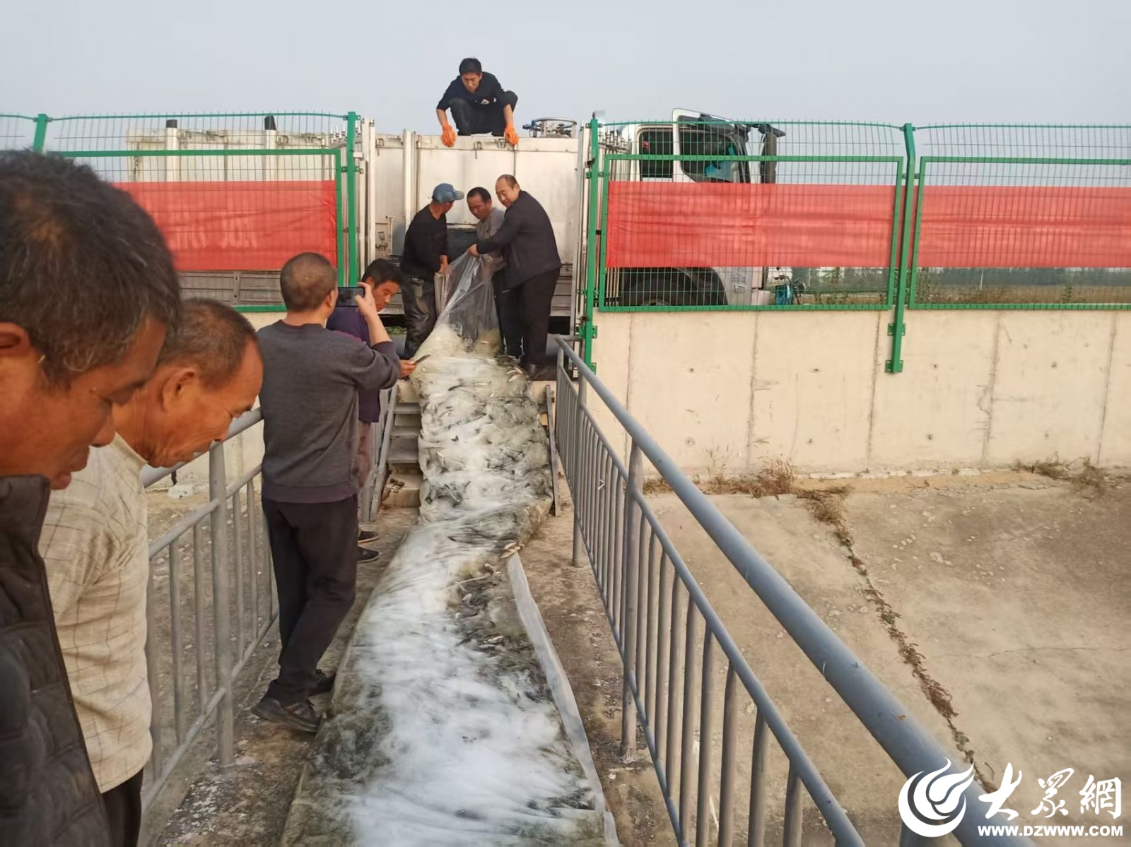 德州市启动“金秋放鱼周”集中增殖放流宣传活动 321万余尾鱼苗“安家”水域助力生态修复