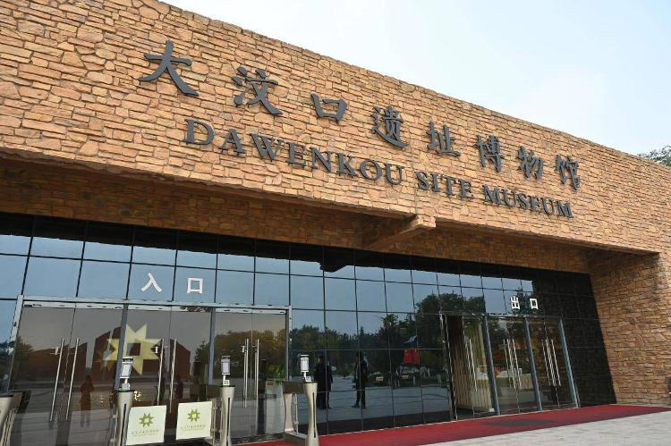 沿着黄河遇见海丨从古老陶器到时尚文创 大汶口文化在传承中焕发新生