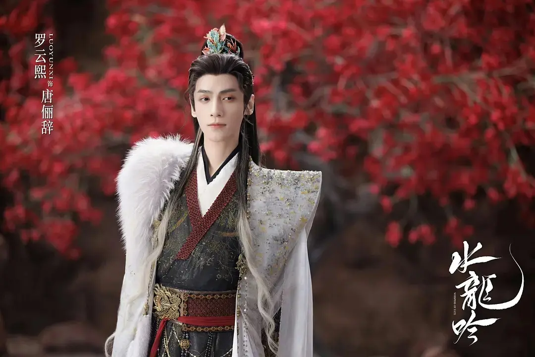 正在热播的六部电视剧，《树影迷宫》排在第三，你在追哪一部？