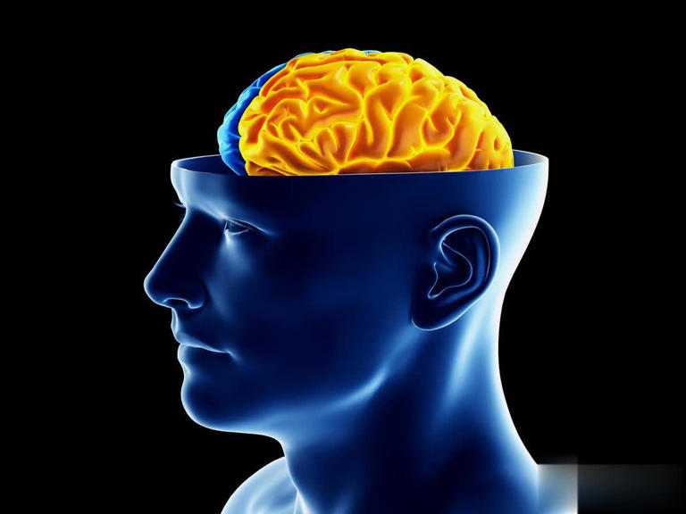 地球现“第二人类文明”？巴拿马猴用石器，科学界困扰不已