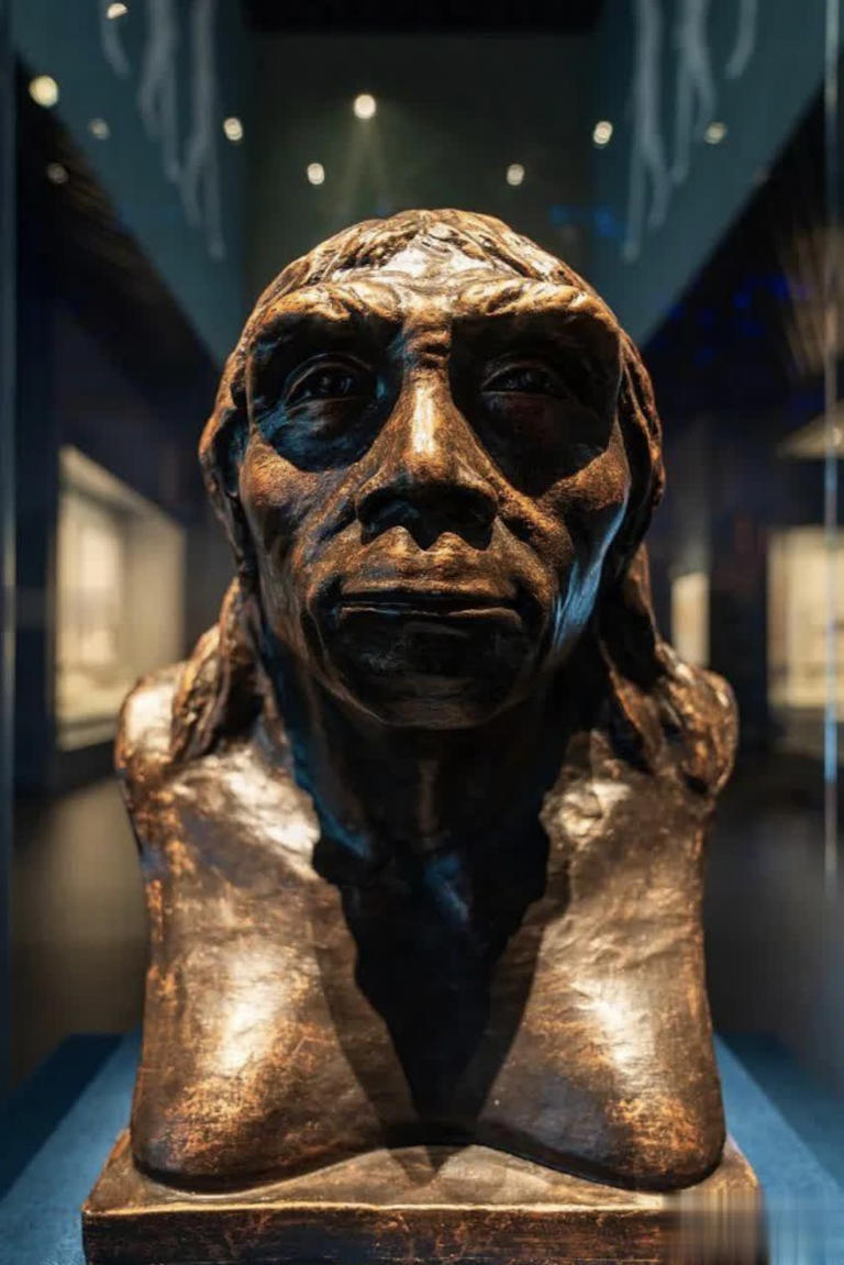 地球现“第二人类文明”？巴拿马猴用石器，科学界困扰不已