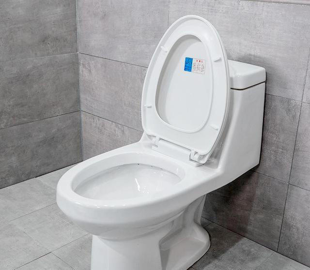 跟风买了智能马桶，用了1年后又换回普通马桶，这3个缺陷无法忍受