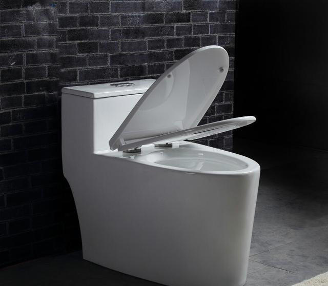 跟风买了智能马桶，用了1年后又换回普通马桶，这3个缺陷无法忍受
