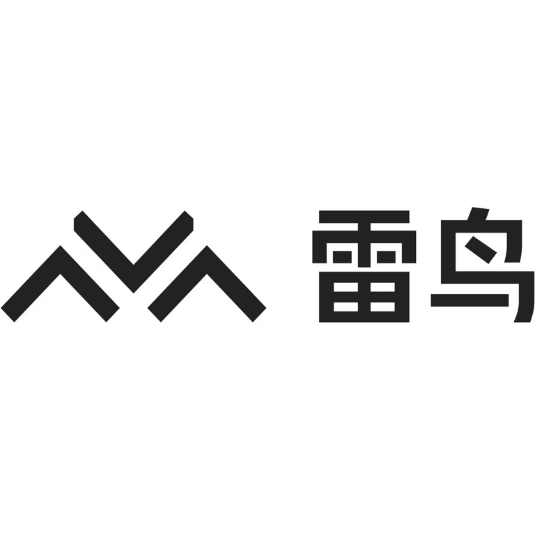 雷鸟创新完成新一轮融资 创下本年度单笔融资最高金额