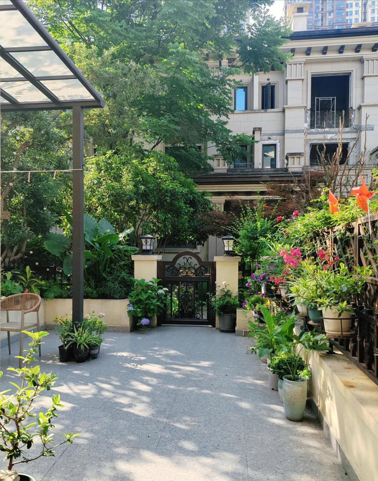 张馨予晒出家居生活，凭一院子就圈粉无数，网友：一看就不是摆拍