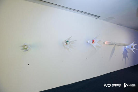 800x534_68fef4208559d.jpg?X-Amz-Content-